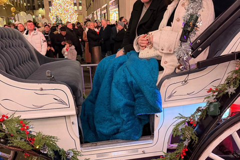 NYC: Central Park Christmas Lights Horse-Drawn Carriage Ride