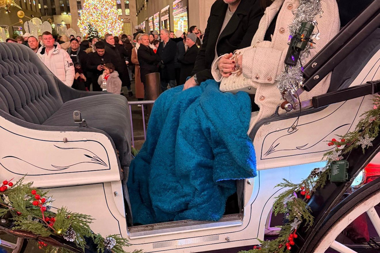 NYC: Central Park Christmas Lights Horse-Drawn Carriage Ride