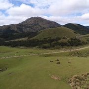 Taipei: Yangmingshan & National Palace Museum Day Tour