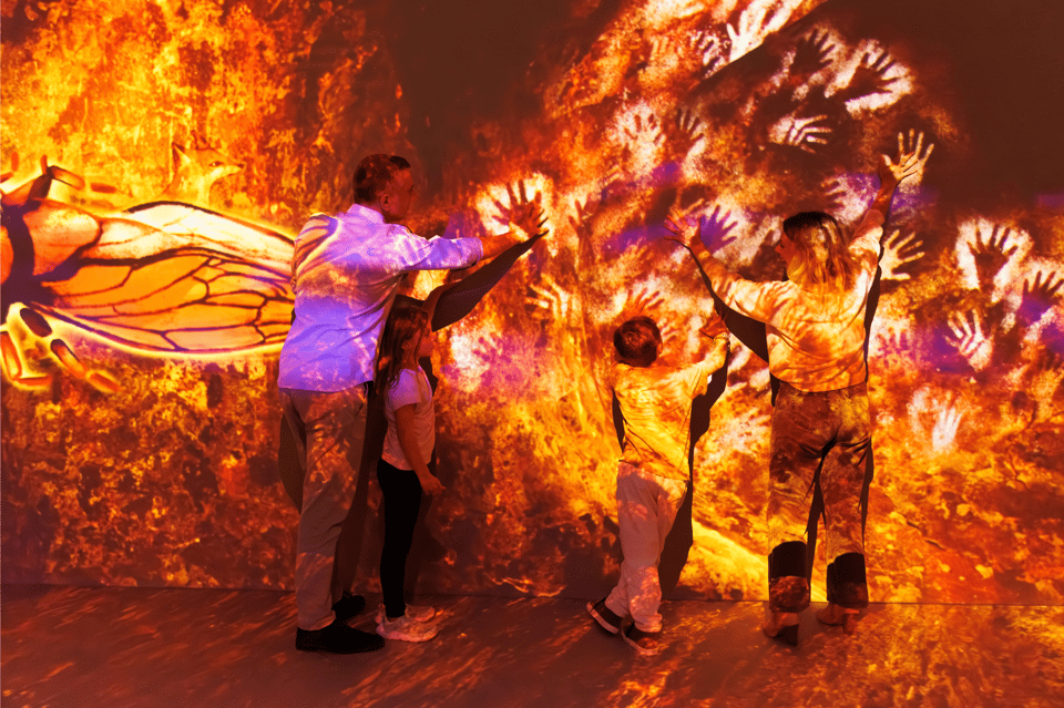 Billet d'entrée – Cité Immersive des Fables
