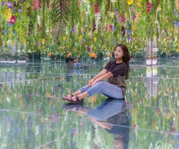 A partir de Seul: Begonia Bird Park, Rail Bike e Garden Tour