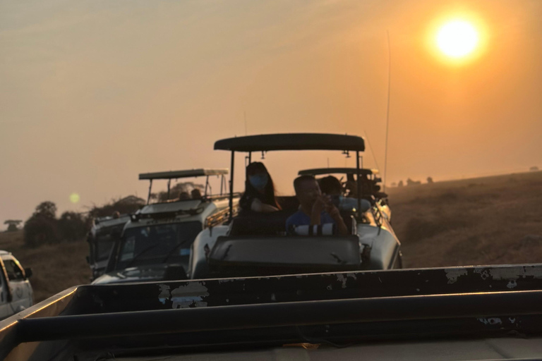 EXCURSION DE 1 JOURNÉE AU PARC NATIONAL D&#039;AMBOSELI.