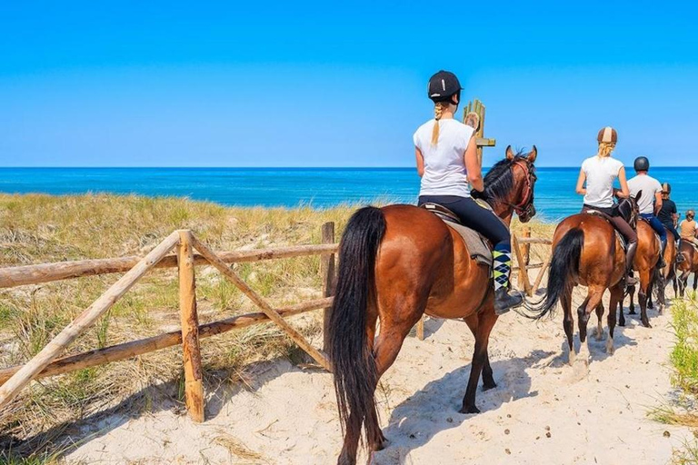Buggies & Horses: Tropical Adventure with Beach, Nature, and Adrenaline Buggy & Horseback Riding: Tropical Adventure with Beach, Nature and Adrenaline