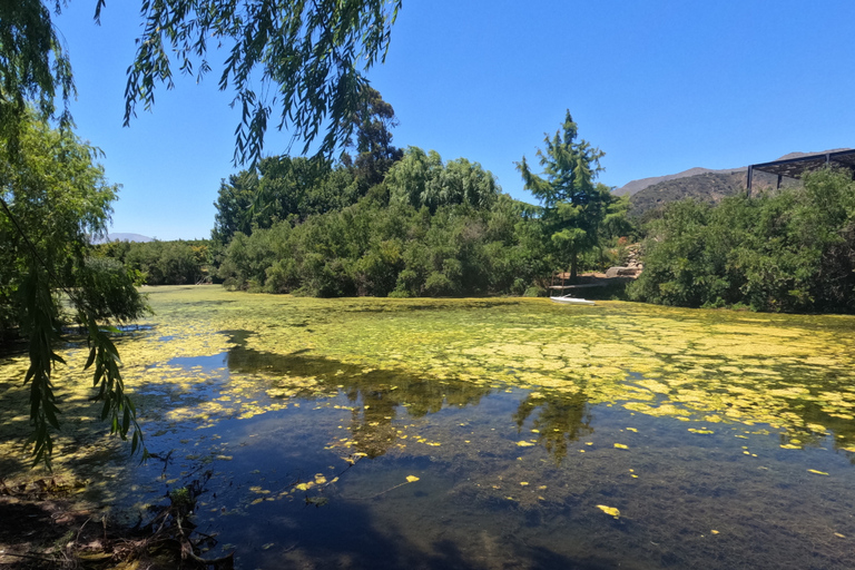 Curacaví Valley: Private Wine Tour of Viña Lopez Pangue and El Cuadro Curacaví Valley: Private Wine Route Tour - Viña Lopez Pangue and El Cuadro