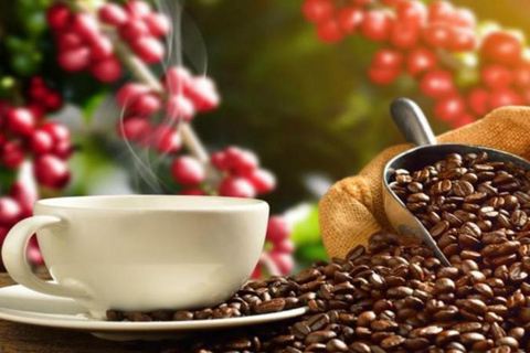 From San Cristóbal: Walking City tour