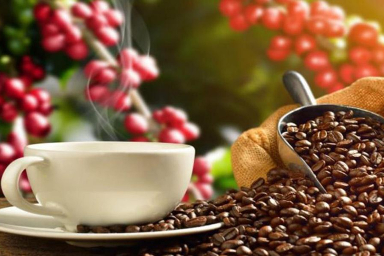 From San Cristóbal: Walking City tour