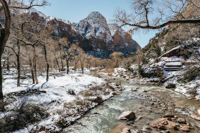 From Springdale Hour Zion Canyon Scenic Hiking Tour Getyourguide