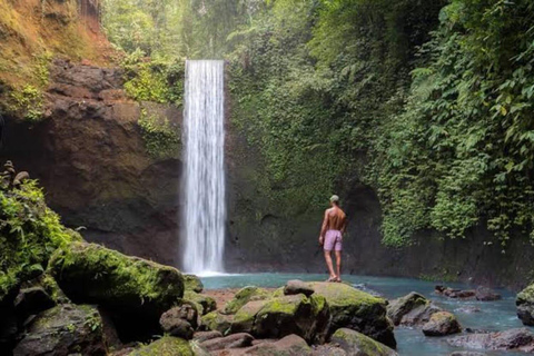 Ubud: Wasserfälle, Wassertempel und Reisterrassen Private TourPrivate Tour ohne Eintrittsgelder