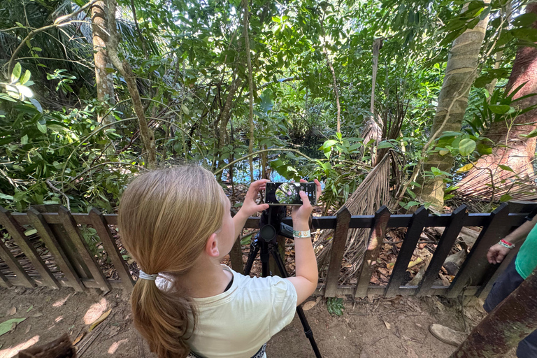 Rio Celeste Waterfall: Rain Forest Hike & Sloth Observation Waterfall-Lunch-Sloth Observation:SelfDrive to Meeting Point