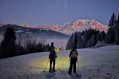 Chamonix: Guided Snowshoeing Tour with Equipment (4 people)