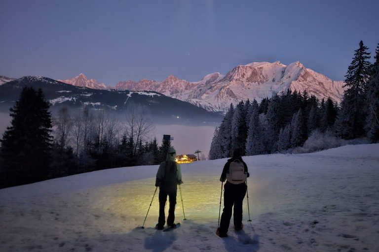 Chamonix: Guided Snowshoeing Tour with Equipment (4 people)