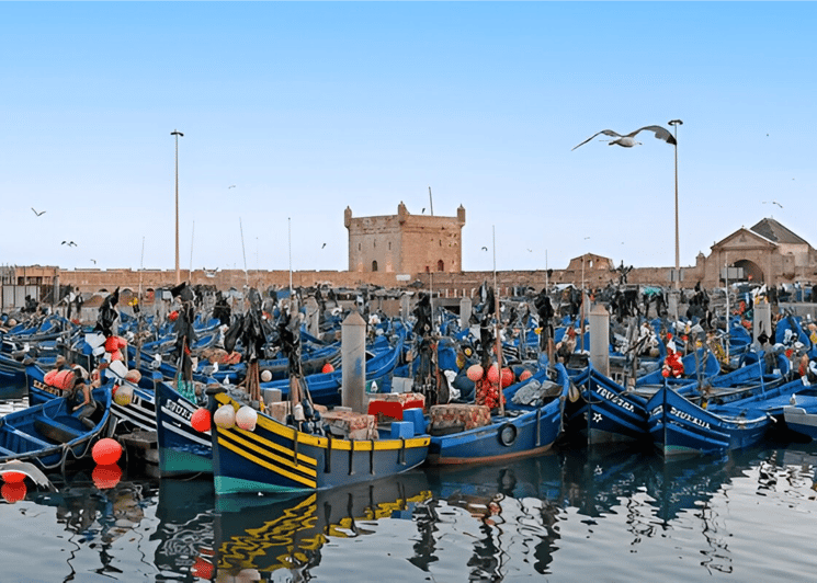 Excursion d'une journée en petit groupe de Marrakech à Essaouira Mogador - trekking