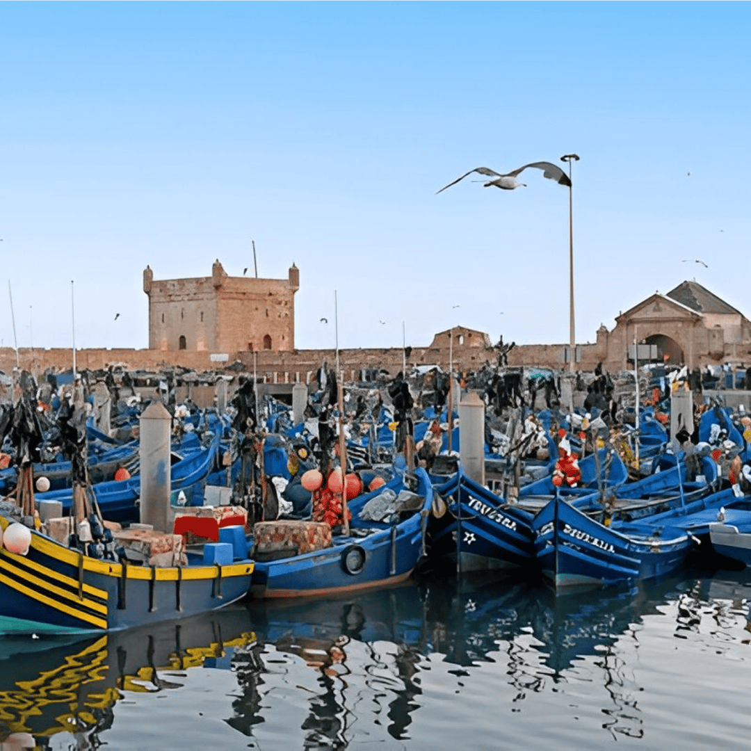 Excursion d'une journée en petit groupe de Marrakech à Essaouira Mogador - trekking