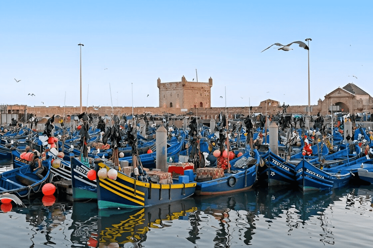 Small-Group Day Trip from Marrakech to Essaouira Mogador Shared From Marrakech To Essaouira Mogador Full-Day Trip