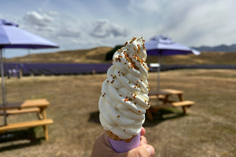 Z Christchurch: 1-drożna wycieczka do Queenstown przez Mt Cook