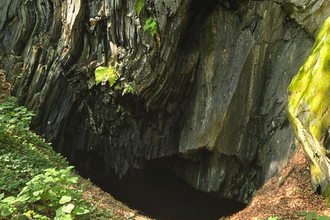 Guided hike on the Rhine Heights Tour St. Quintin