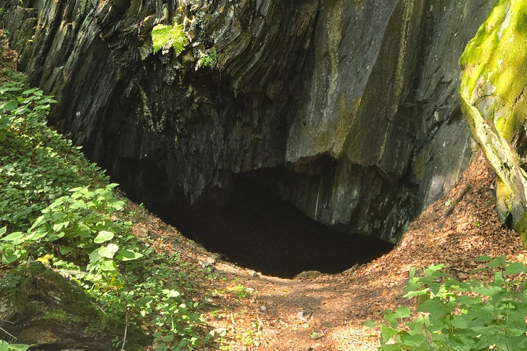 Guided hike on the Rhine Heights Tour St. Quintin