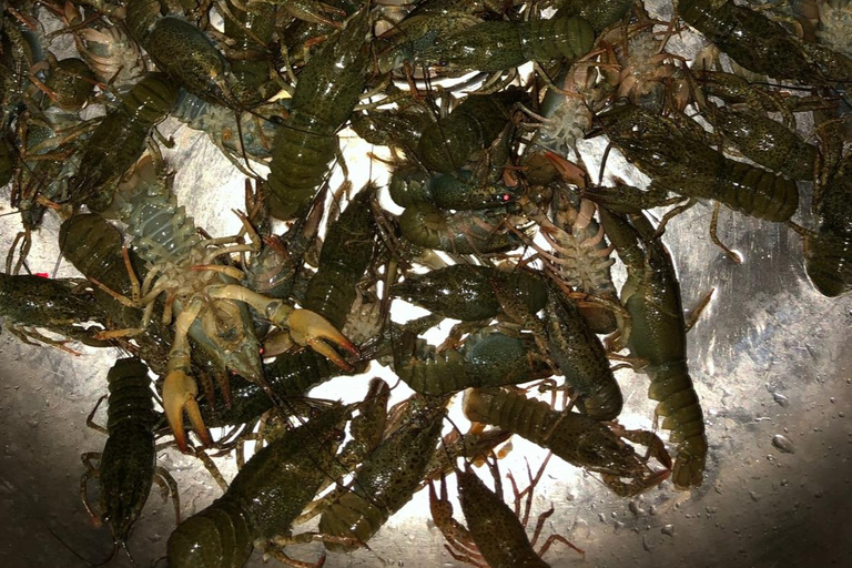 Western Georgia River Fishing & Georgian Food Experience