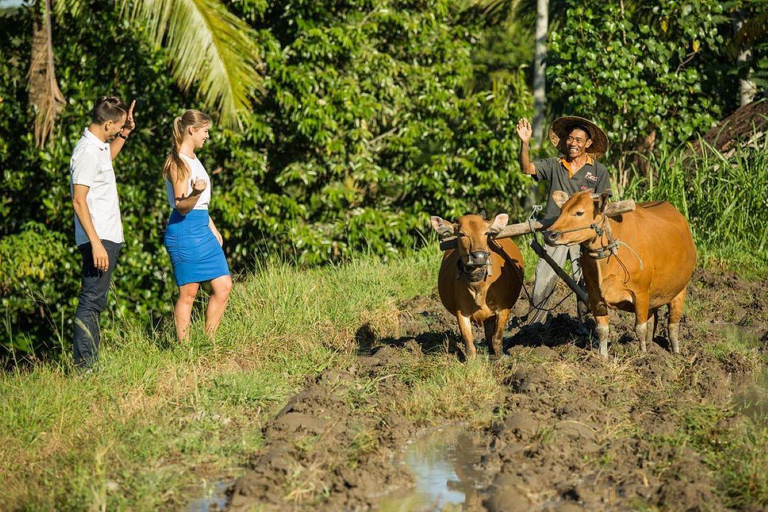 Bali: Tour culturale del villaggio con lezione di cucina