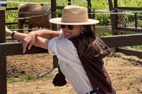 Ibiza: Photoshoot with Majestic Horses