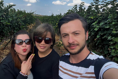 From Tbilisi: Kakheti Wine Tour with Lunch and Tastings