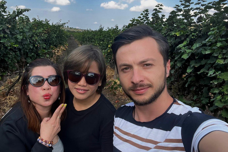 From Tbilisi: Kakheti Wine Tour with Lunch and Tastings