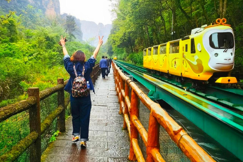 Zhangjiajie Avatar Mountain & Tianzi Peak Tour with Guide Transportation hub pick-up and drop-off