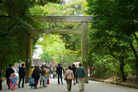 Tour Atsuta Jingu, one of Japan&#039;s three most sacred shrines.