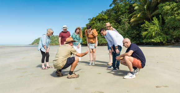 From Cairns: 3-Day Reef, Rainforest, and Outback Package