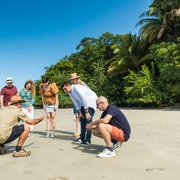 From Cairns: 3-Day Reef, Rainforest, and Outback Package