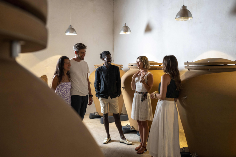 Z Nicei: wycieczka całodniowa po winiarskiej ProwansjiZ Nicei: Całodniowa wycieczka po Prowansji z winem