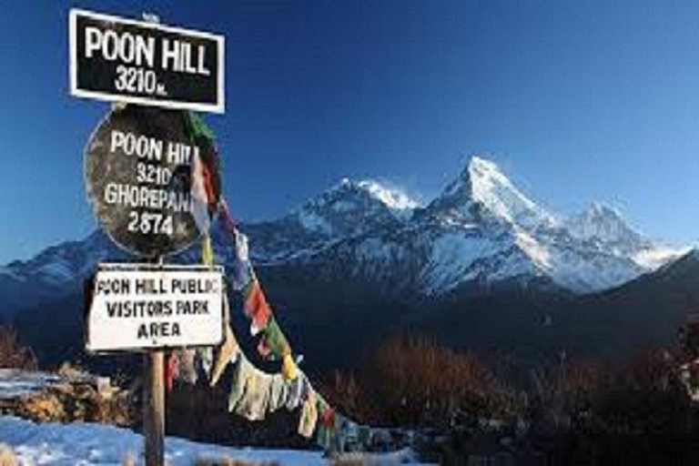 Pokhara: Mohare Danda & Poon Hill Sunrise Trek with Guide