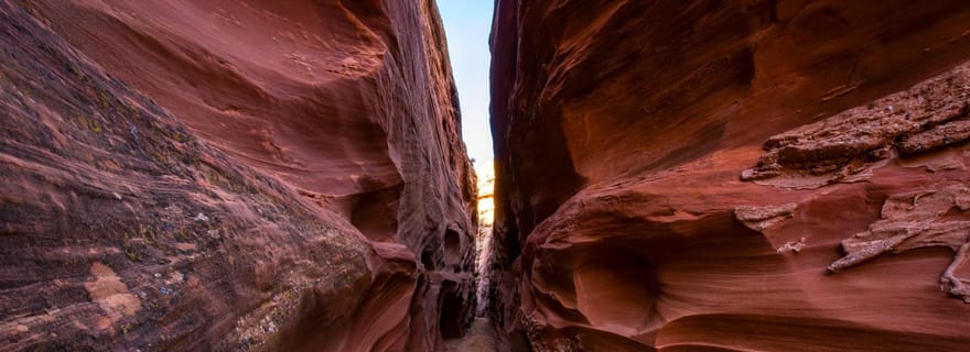 Page : Visite guidée des Trois Glorieuses