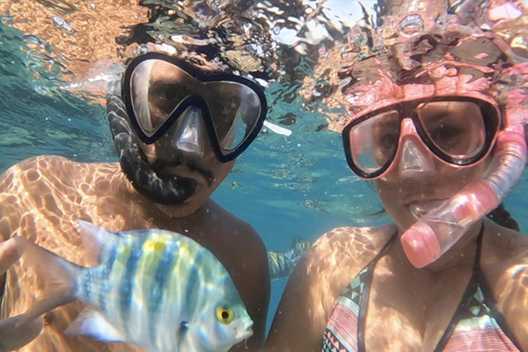 Aqaba: Private Boat Tour with Snorkeling and Lunch