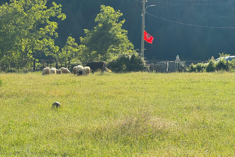 Shkoder: Albanian Alps and Theth Village Day Tour