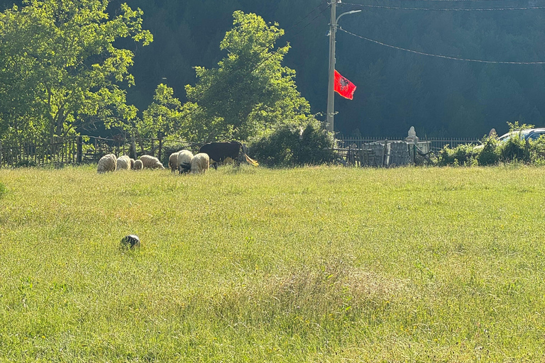 Shkoder: Albanian Alps and Theth Village Day Tour