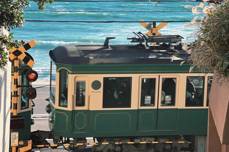 From Tokyo: Kamakura Private Day Trip with 3 Route Options Classic Kamakura & Hidden Gems Route