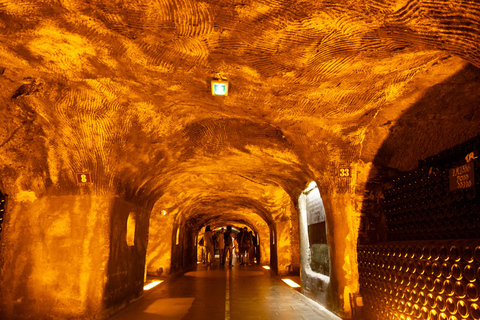 Authentic Champagne Tour: 3 vineyards, 10 Tastings & Lunch Authentic Champagne Tour : Family Vineyards & 10 Tastings