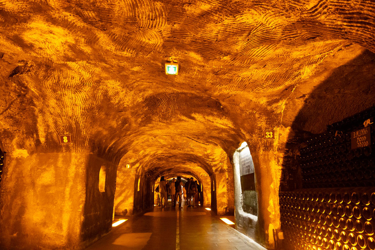 Authentic Champagne Tour: 3 vineyards, 10 Tastings & Lunch Authentic Champagne Tour : Family Vineyards & 10 Tastings