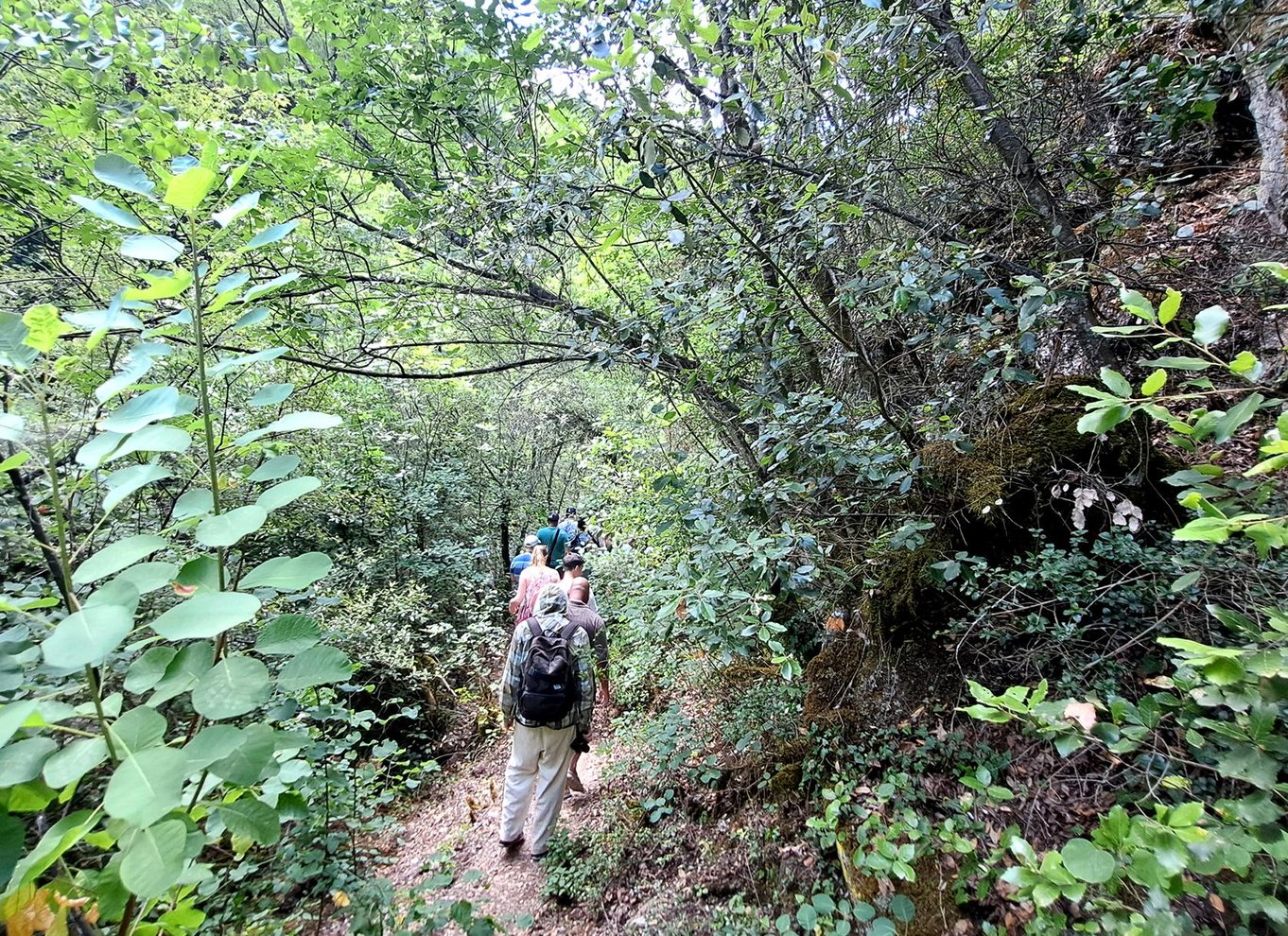Fra Thessaloniki: Dagsudflugt til Dion og Mount Olympus Park