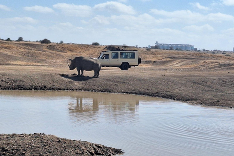 Budget gamedrive in Nairobi National Park.