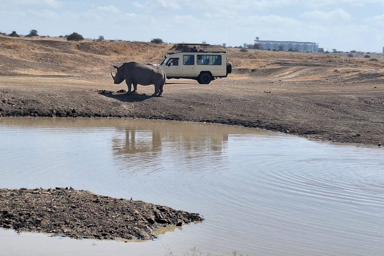 Parque Nacional de Nairóbi - Passeio de carro com orçamento limitado.Passeio de jogo econômico pelo Parque Nacional de Nairobi.