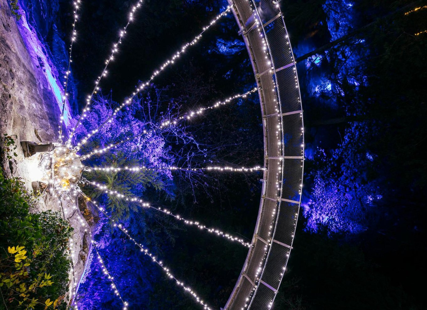 Vancouver: Capilano Suspension Bridge Park billet