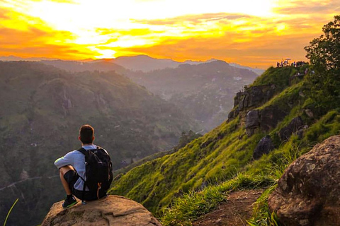 Ella: Passeio de Tuk Tuk ao pôr do sol com caminhada no Pico do Pequeno Adão