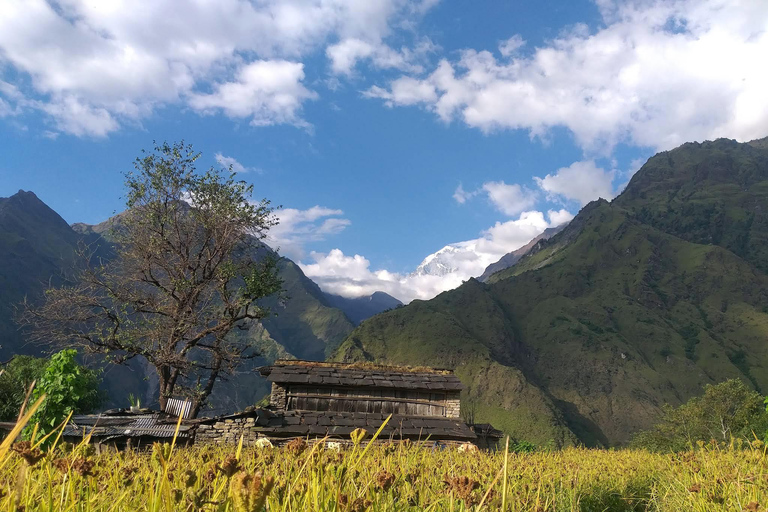 Annapurna Base Camp (ABC) North 5-Day Trek: The Herzog Trail