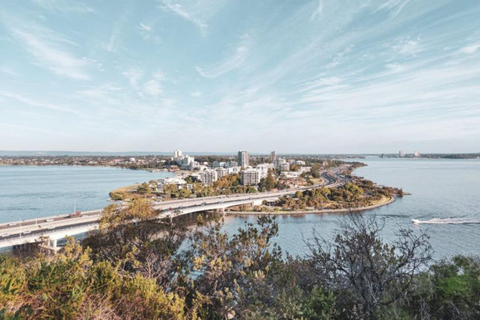 Perth: Kings Park Botanicals &amp; Beyond begeleide wandeling