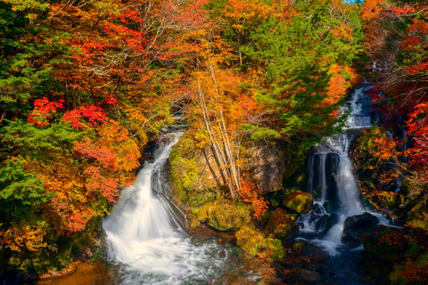 Nikko Day Trip: Toshogu Shrine & Kegon Falls & Lake Chuzenji 8:00 am JR Tokyo Station North Exit
