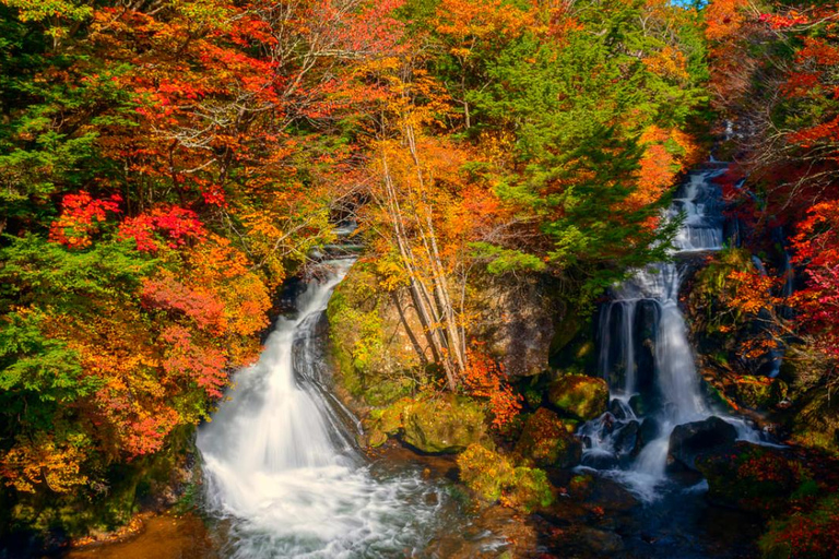 Nikko Day Trip: Toshogu Shrine & Kegon Falls & Lake Chuzenji 8:00 am JR Tokyo Station North Exit