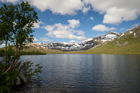 Tromsø: Fjord Adventure with Lunch and Photos Tromsø: Fjord Minibus Tour with Lunch and Free Photos