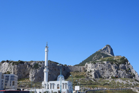 From Cadiz Bay: Gibraltar Day Trip with Rock Tour